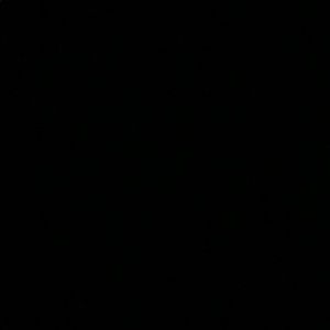 Meet your Posher, Anastin